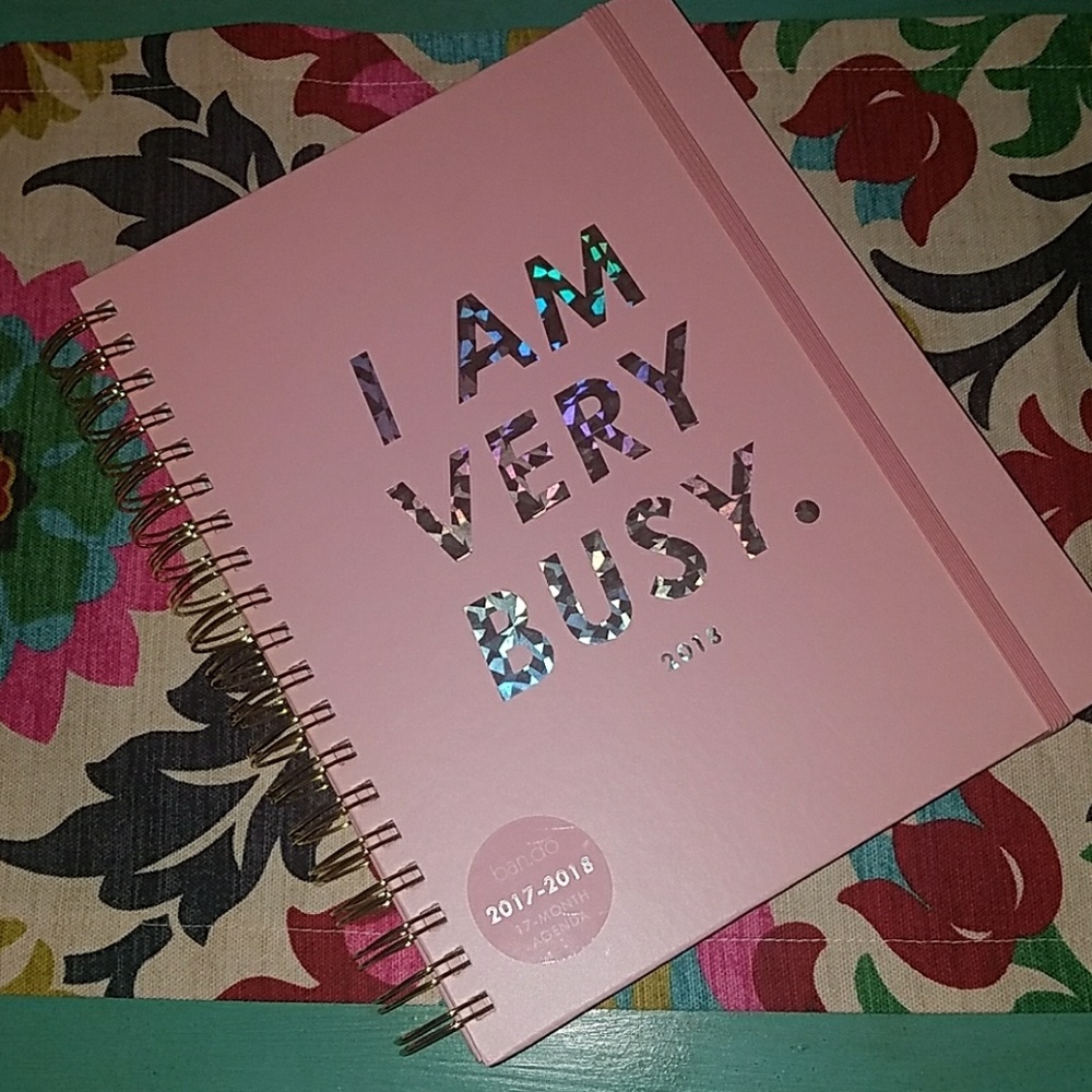 ***NYE Discount!!**NWT ban.do 17 Month Agenda